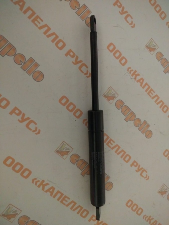 PMS-000018_ГАЗОВЫЙ АММОРТИЗАТОР	 / GAS SPRING